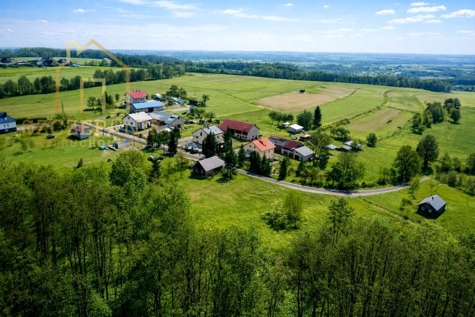 Zdjęcie 3