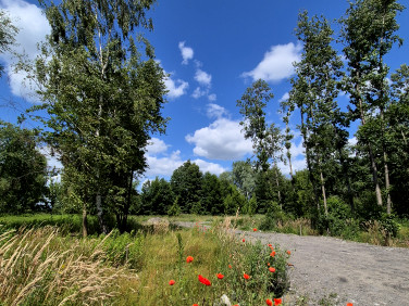 Działka budowlana Juliopol