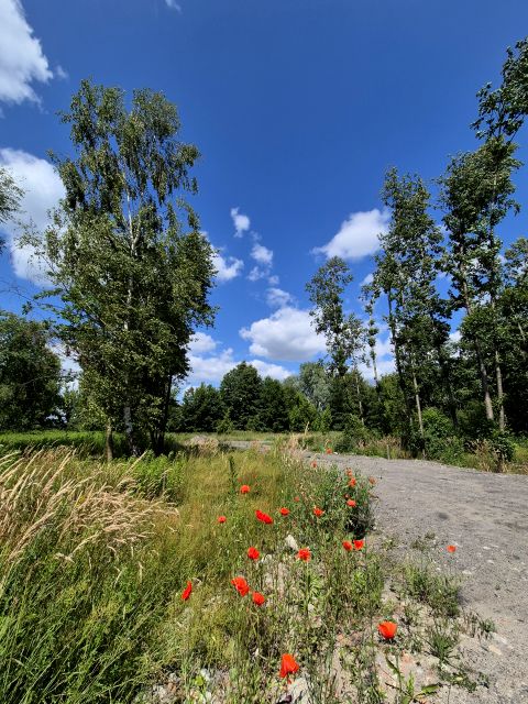 Działka budowlana Juliopol