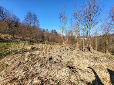 Działka rolna Włosań