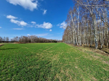 Działka rolna Michałówek