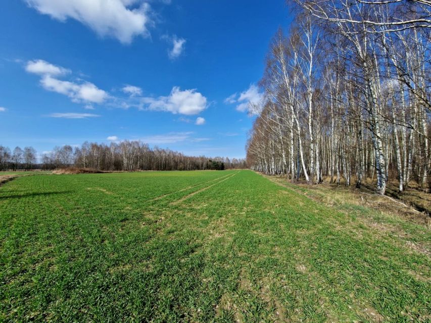 Działka rolna Michałówek