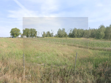 Działka budowlana Wygoda Smoszewska