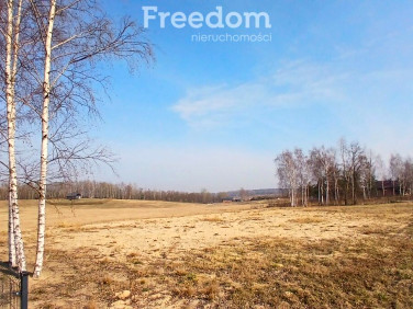 Działka rekreacyjna Chmielów