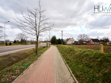 Działka budowlana Różyny