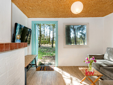 Działka rekreacyjna Poznań