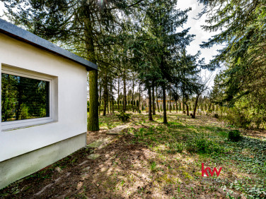 Działka rekreacyjna sprzedam