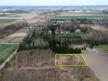 Działka inna Cholewy