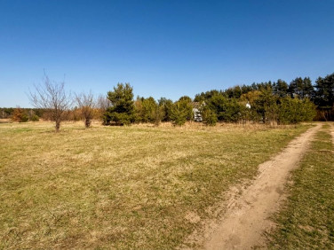 Działka nad jeziorem