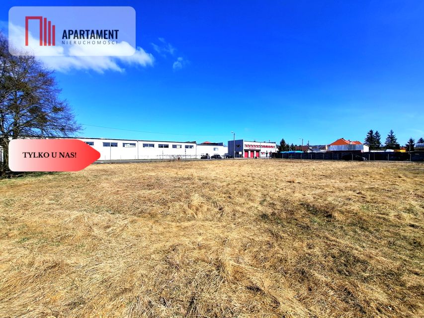 Lokal Potulice wynajem