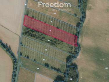 Działka rolna Gościejowice