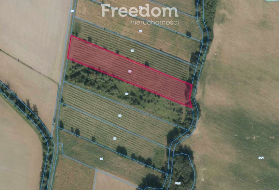 Działka rolna Gościejowice