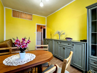 Mieszkanie Bogatynia