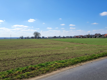 Działka budowlana Ceradz Kościelny