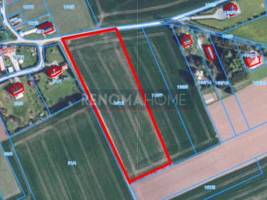 Działka rolna Kłodzko