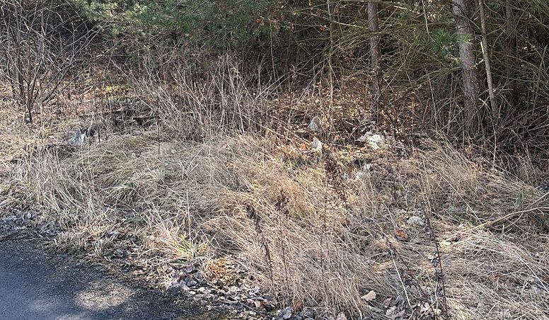 Działka budowlana Odrano-Wola