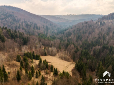 Działka leśna Przyborów
