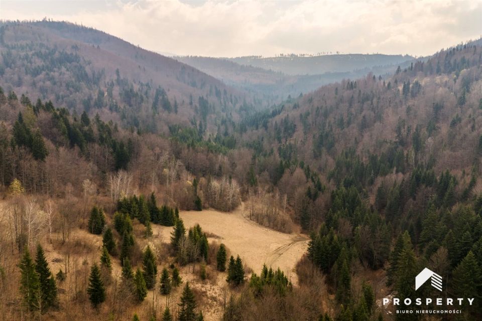 Działka leśna Przyborów
