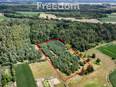 Działka budowlana Niemodlin sprzedam
