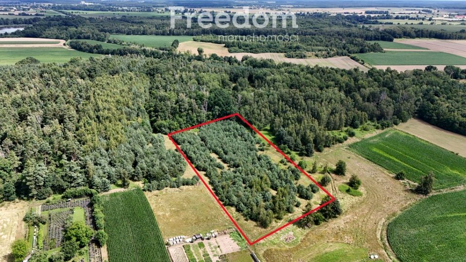 Działka budowlana Niemodlin sprzedam