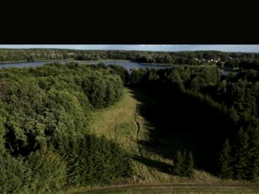 Działka rekreacyjna Zarańsko