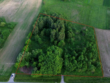 Działka usługowa Sędziszów Małopolski