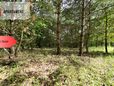 Działka inna Wyrzysk Skarbowy