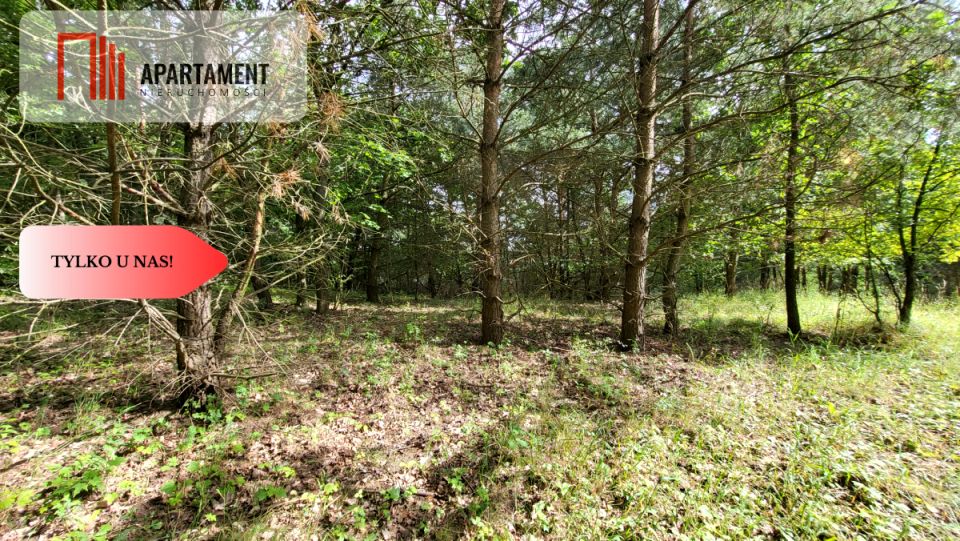 Działka inna Wyrzysk Skarbowy