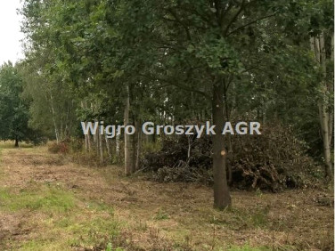 Działka rolna Secymin Polski