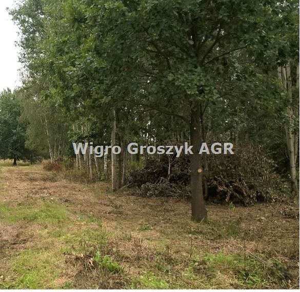 Działka rolna Secymin Polski