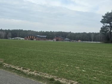 Działka Lisiec Mały