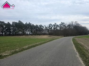 Działka budowlana Lisiec Mały