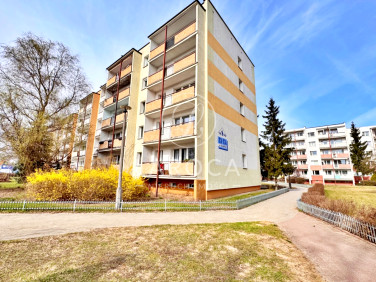 Mieszkanie Toruń