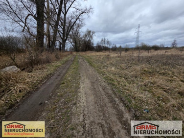 Działka budowlana Żarowo