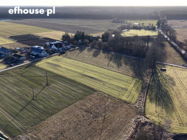 Działka Szczepanowo