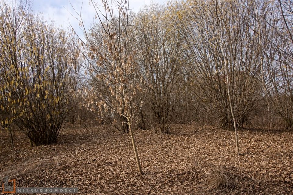 Działka budowlana Bibice