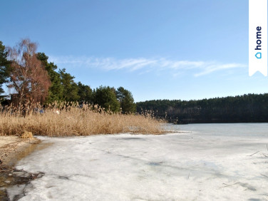 Działka budowlana Koronowo