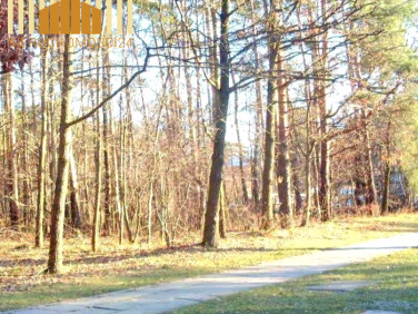 Działka usługowa Warszawa