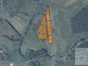 Działka rolna Grzepnica sprzedam