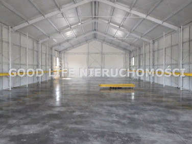 Budynek użytkowy Lipie