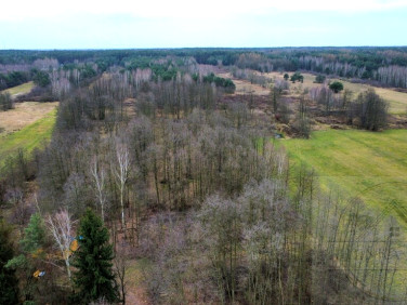 Działka rolna Mariew