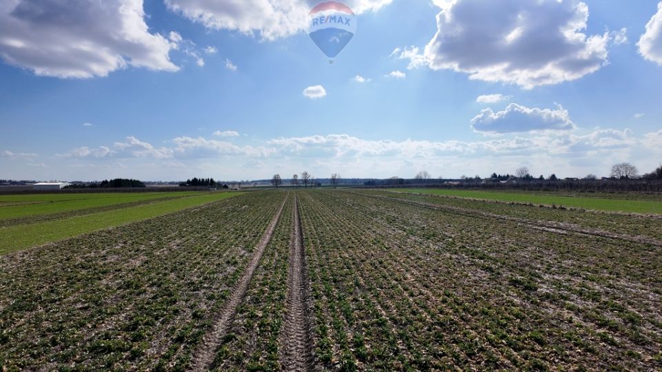 Działka przemysłowa Świdnik Duży