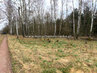 Działka budowlano-rolna Wodzisław Śląski