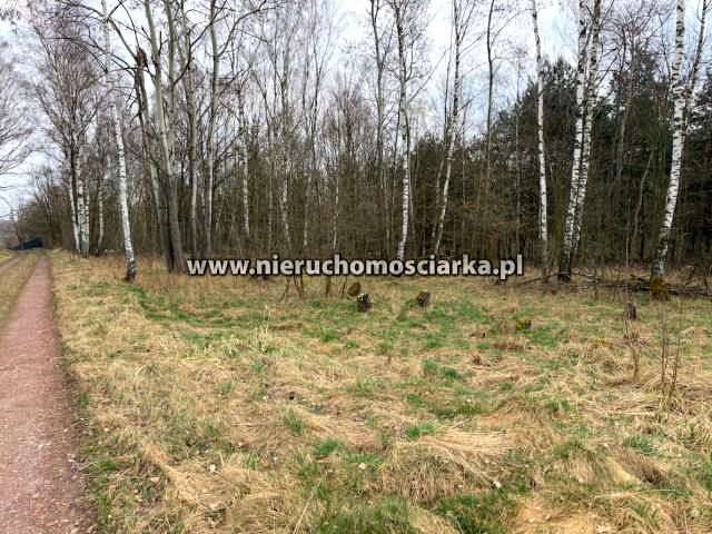 Działka budowlano-rolna Wodzisław Śląski