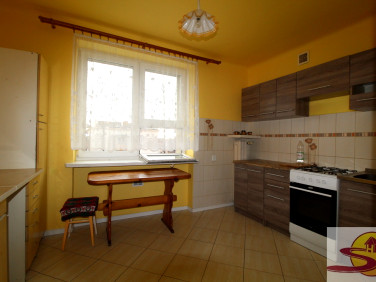 Mieszkanie Radom wynajem