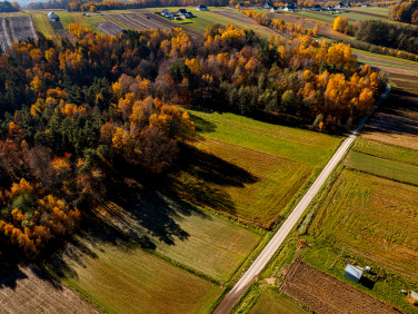 Działka przy lesie