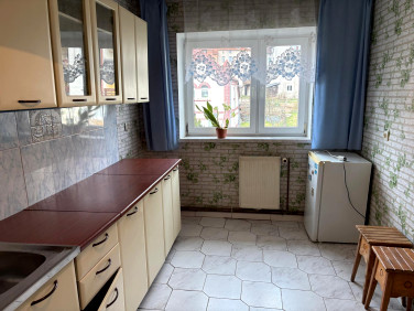 Mieszkanie Gryfów Śląski