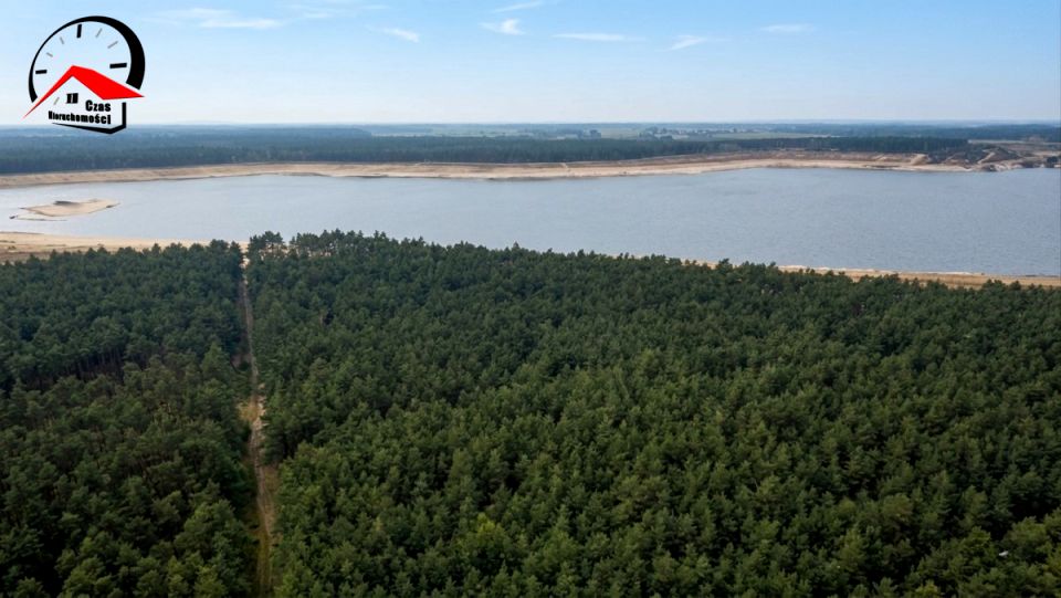 Działka leśna Drzewce