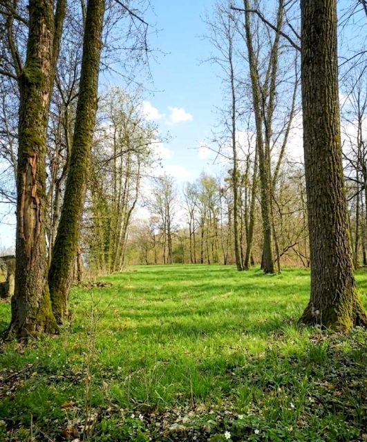 Działka budowlana Brwinów