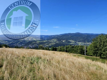 Działka budowlana piwniczna